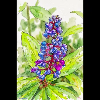 Blue Ginger 126 Richard Hart
