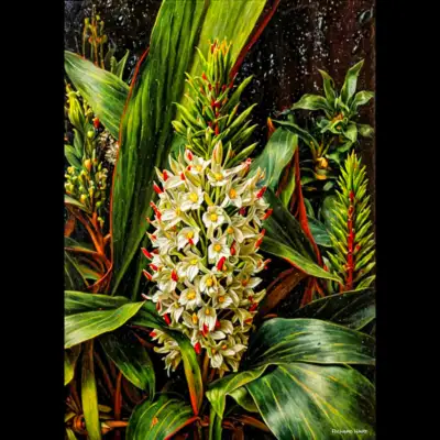Kahili Ginger 119 Richard Hart