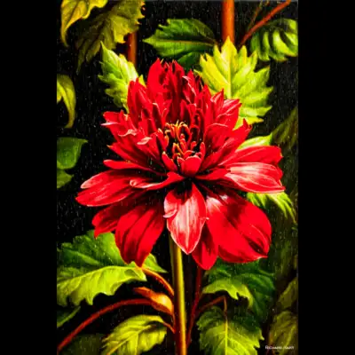Torch Ginger 197 Richard Hart