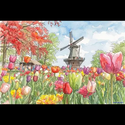 Netherland Tulips 11