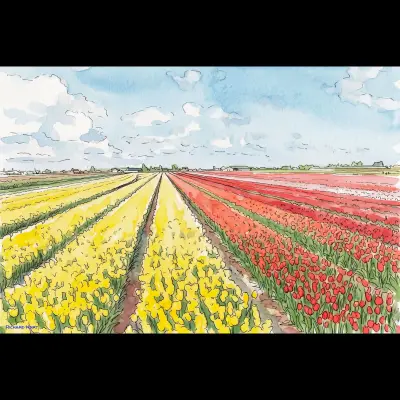 Skagit Tulips 3