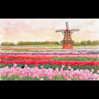 Netherland Tulips 8