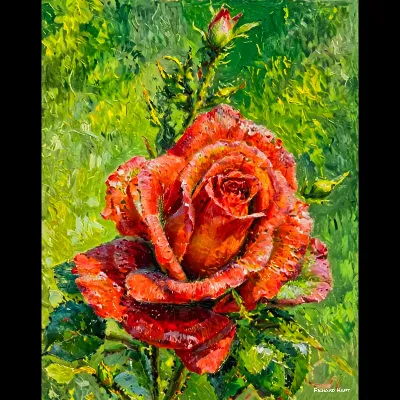 Red Rose RR Oil