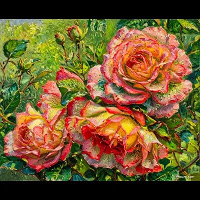 Redwhite1 Oil