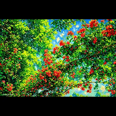 Trellis2 Oil