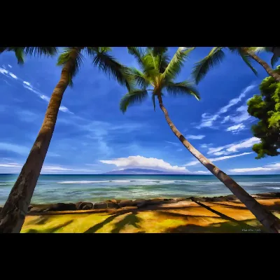 34