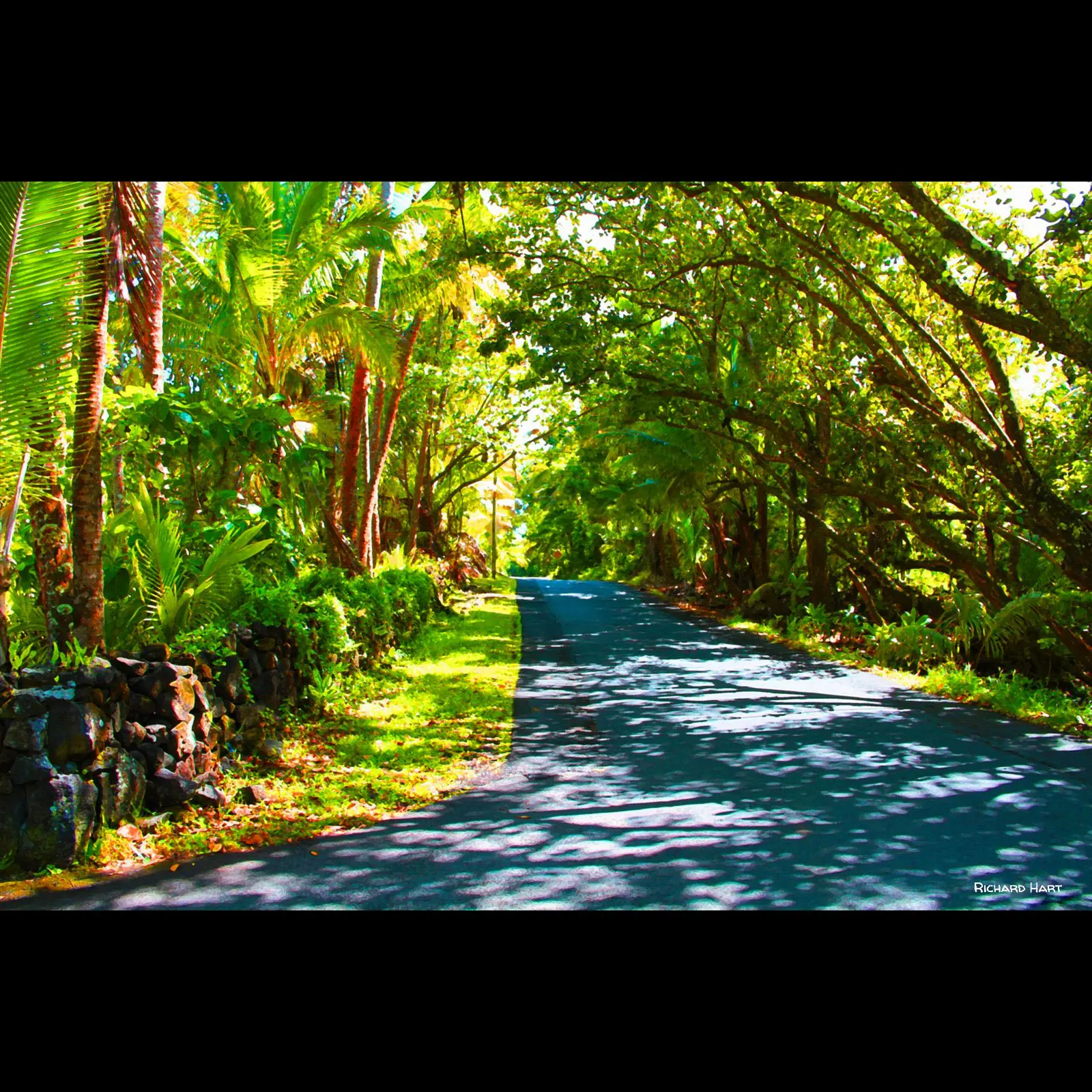 Ahalanui Park Entrance