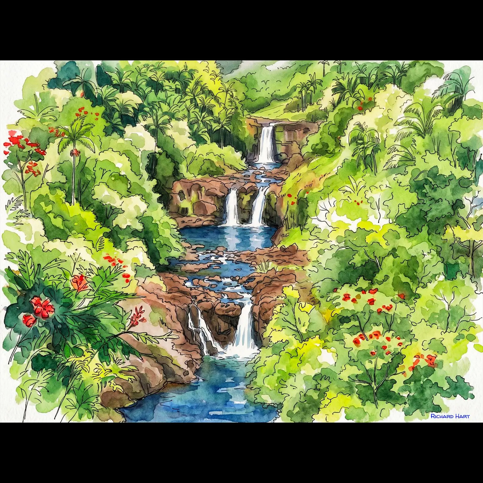 Akaka_Falls_at Mid_day