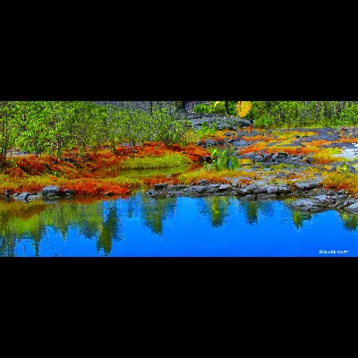 Honaunau Pond (2021)