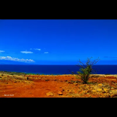 Kaiholena