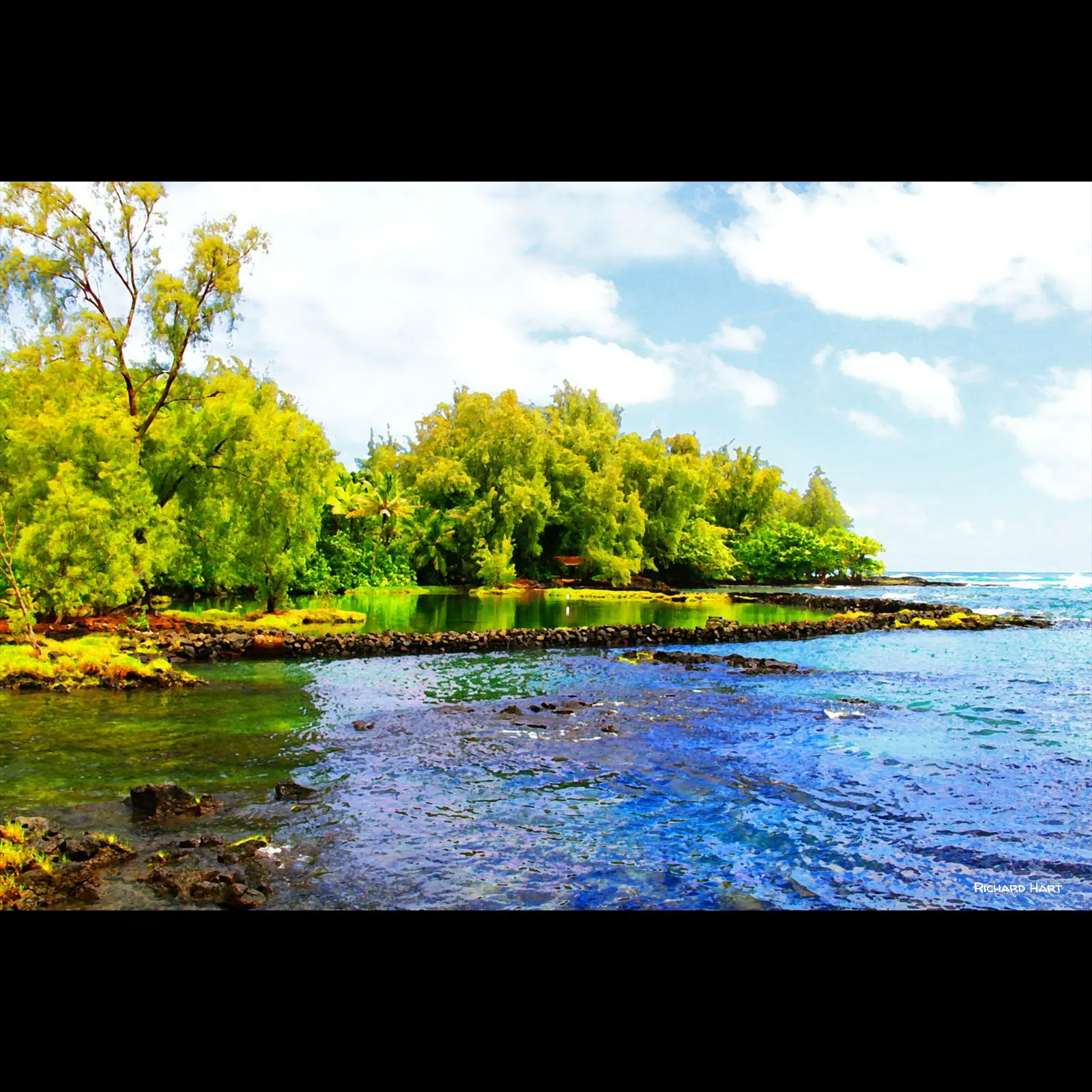Kealoha Carlson Park Point