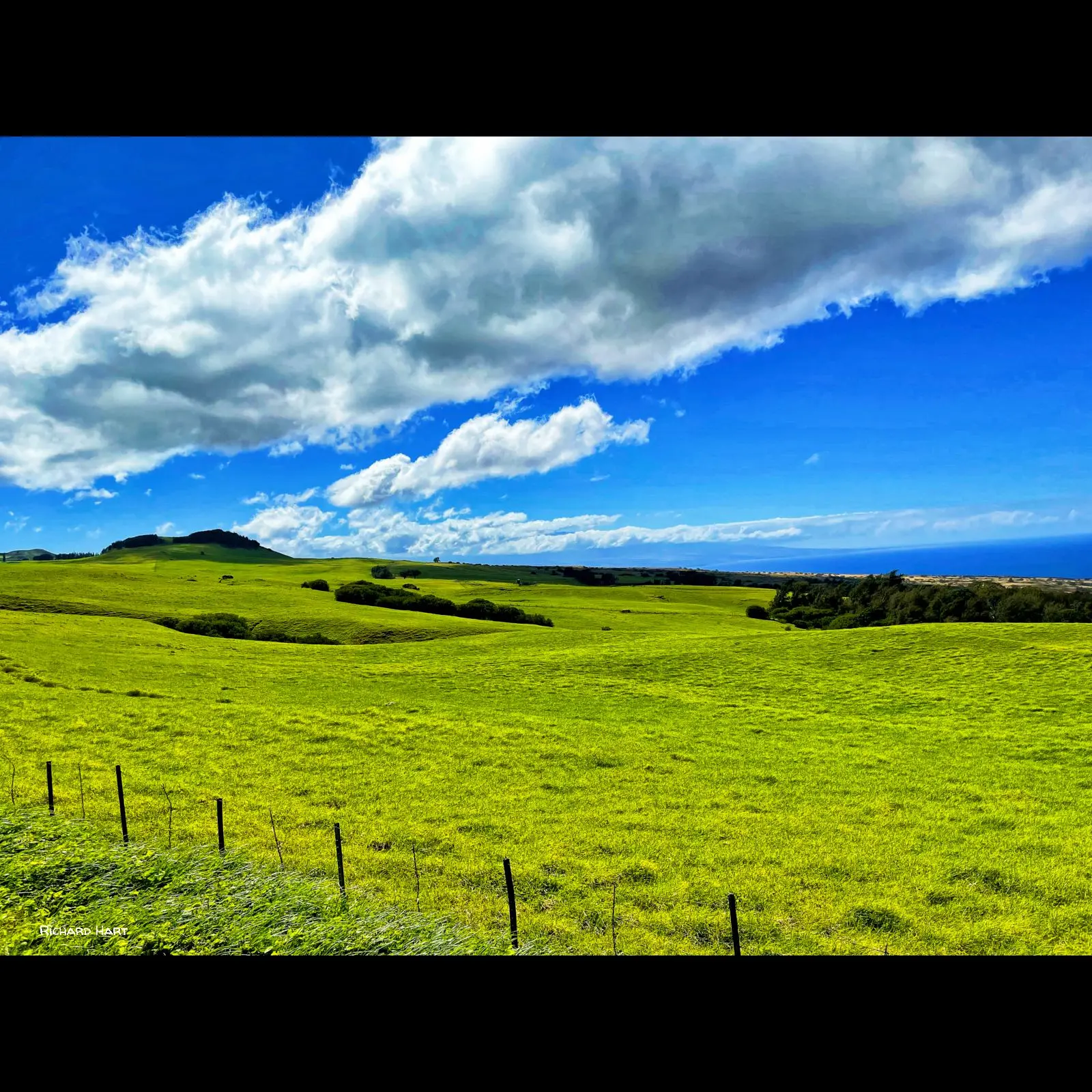 Kohala Fences