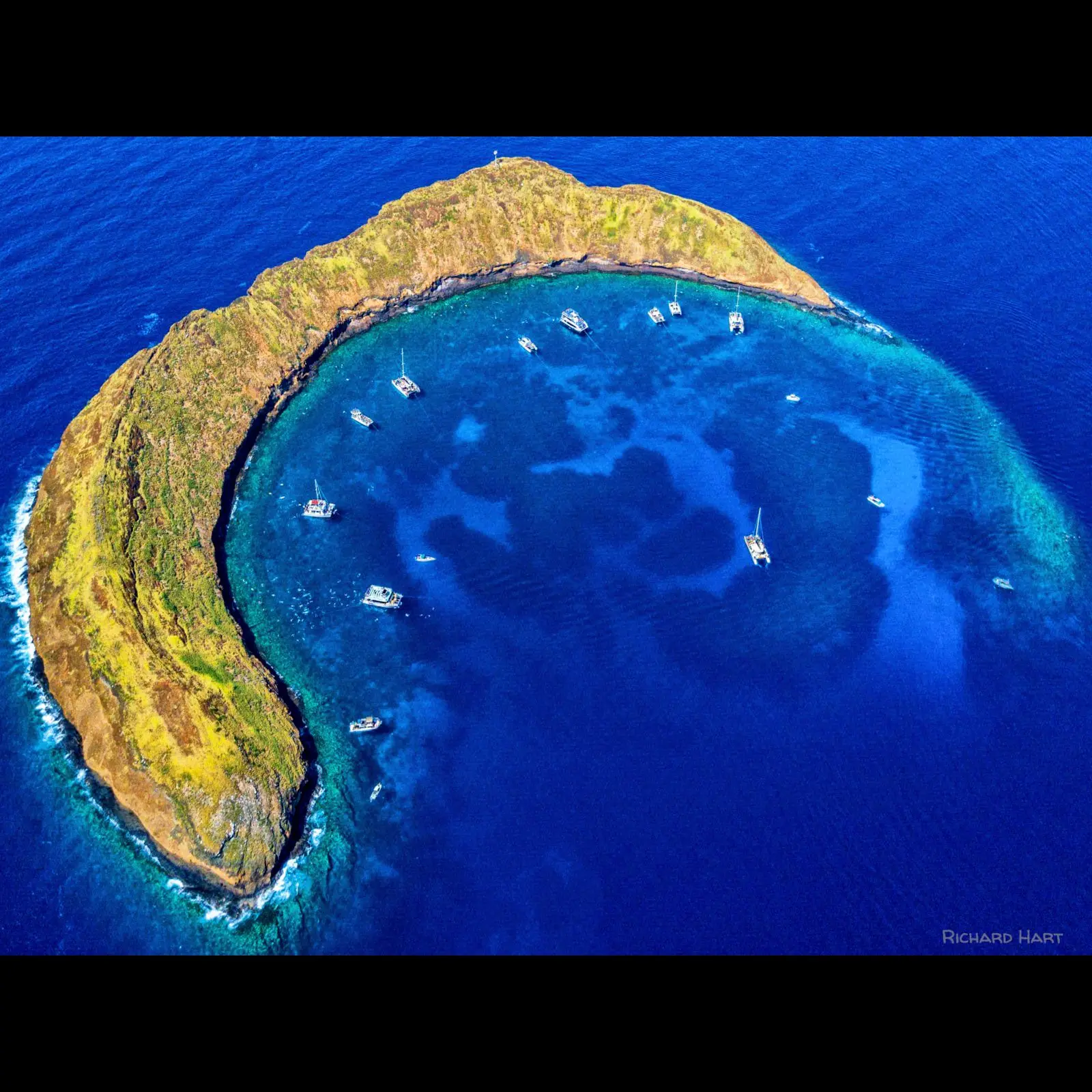 Molokini fini