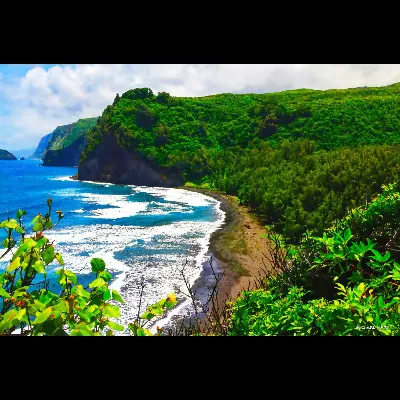 Polulu Valley Trail (2021)