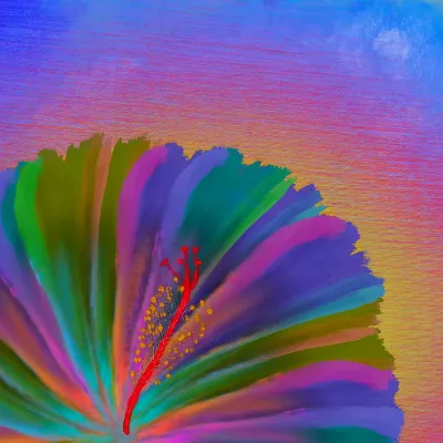 Rainbow Hibiscus