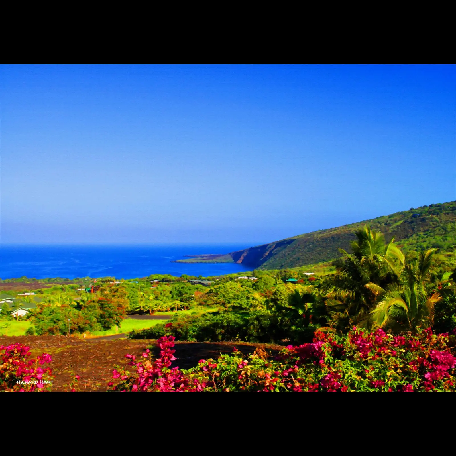 The view from Napoopoo