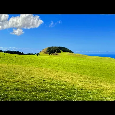Vista Kohala