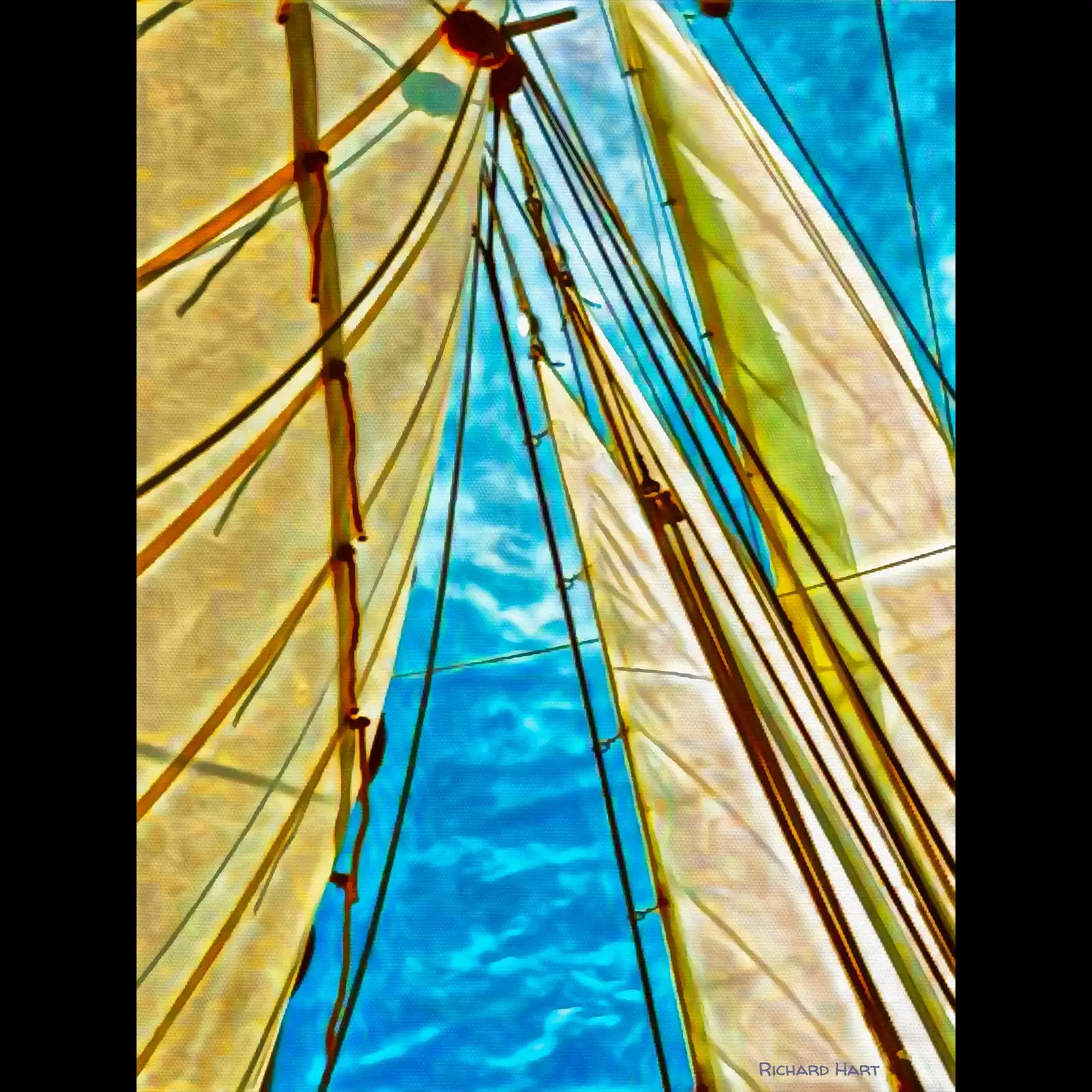 Sails (2026)