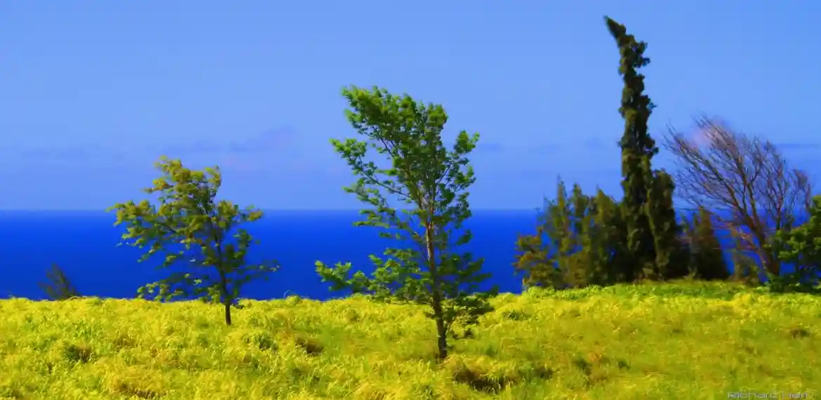 Highway near KoleKole Beach Park